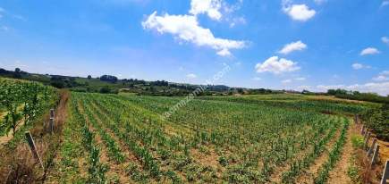 Yatırım Değeri Yüksek,Kaynarca Merkeze 10Dk, İmar Yanı 5