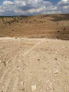 Siirt Tillo Merkezde Satılık 14 Dönüm Fıstık Bağı 10