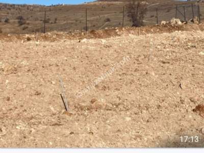 Siirt Tillo Merkezde Satılık 14 Dönüm Fıstık Bağı 1