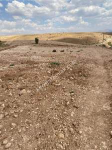 Siirt Tillo Merkezde Satılık 14 Dönüm Fıstık Bağı 5