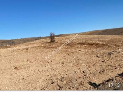 Siirt Tillo Merkezde Satılık 14 Dönüm Fıstık Bağı 3