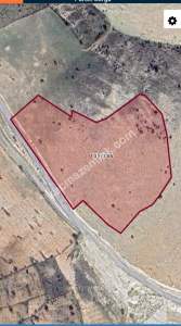 Siirt Tillo Merkezde Satılık 14 Dönüm Fıstık Bağı 14