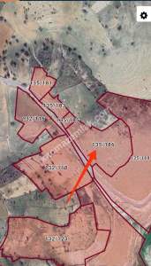 Siirt Tillo Merkezde Satılık 14 Dönüm Fıstık Bağı 6