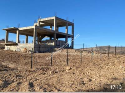 Siirt Tillo Merkezde Satılık 14 Dönüm Fıstık Bağı 4