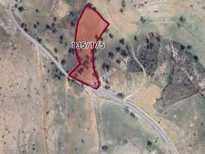 Siirt Tillo Hatrant Yolu Üzeri Satılık 5 Dönüm Tarla 5