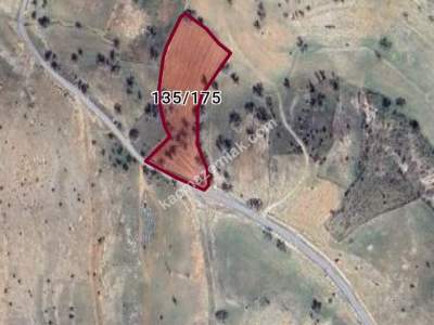 Siirt Tillo Hatrant Yolu Üzeri Satılık 5 Dönüm Tarla 6