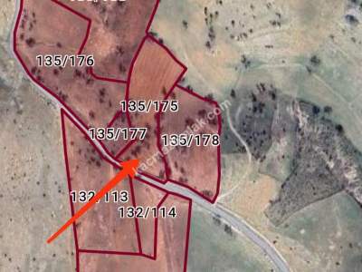 Siirt Tillo Hatrant Yolu Üzeri Satılık 5 Dönüm Tarla 3
