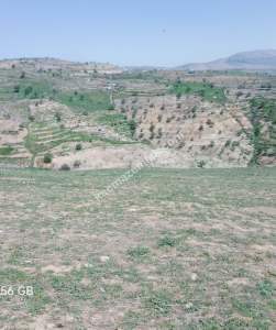 Siirt Doğan Mahallesi Ceza Evi Civarında Satılık Tarla 18