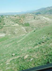 Siirt Doğan Mahallesi Ceza Evi Civarında Satılık Tarla 16