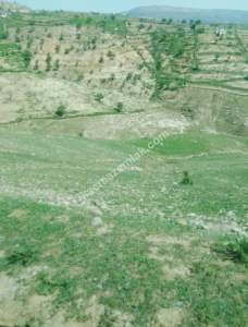 Siirt Doğan Mahallesi Ceza Evi Civarında Satılık Tarla 15
