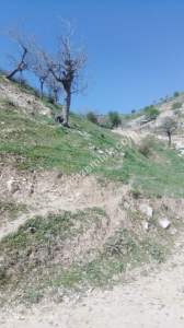 Siirt Doğan Mahallesi Ceza Evi Civarında Satılık Tarla 3