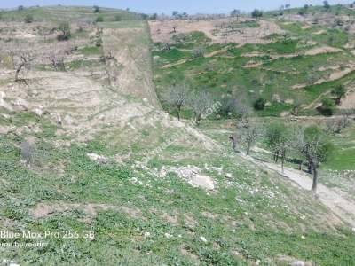 Siirt Doğan Mahallesi Ceza Evi Civarında Satılık Tarla 5