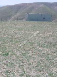 Siirt Doğan Mahallesi Ceza Evi Civarında Satılık Tarla 7