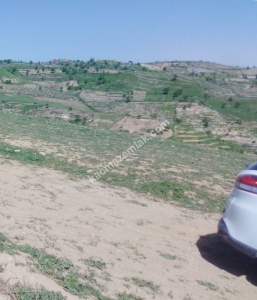 Siirt Doğan Mahallesi Ceza Evi Civarında Satılık Tarla 19