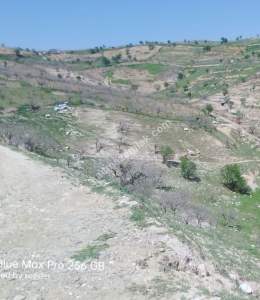 Siirt Doğan Mahallesi Ceza Evi Civarında Satılık Tarla 13