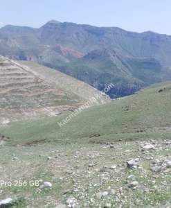 Siirt Doğan Mahallesi Ceza Evi Civarında Satılık Tarla 10