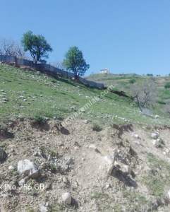 Siirt Doğan Mahallesi Ceza Evi Civarında Satılık Tarla 14