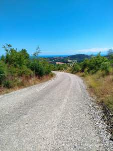 Gerze Merkeze 10 Dk Mesafesinde 10 Dönüm Yatırımlık Fır 18