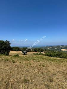 Gerze Merkeze 10 Dk Mesafesinde 10 Dönüm Yatırımlık Fır 5