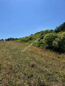 Gerze Merkeze 10 Dk Mesafesinde 10 Dönüm Yatırımlık Fır 4