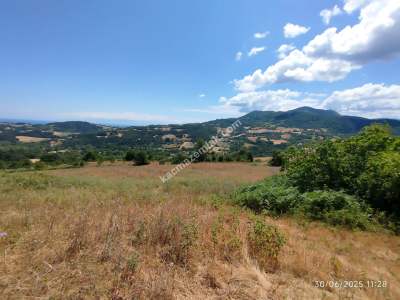 Gerze Merkeze 10 Dk Mesafesinde 10 Dönüm Yatırımlık Fır 17