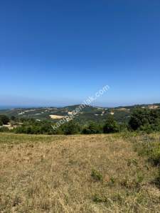 Gerze Merkeze 10 Dk Mesafesinde 10 Dönüm Yatırımlık Fır 1