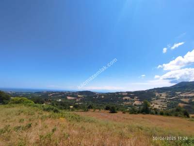 Gerze Merkeze 10 Dk Mesafesinde 10 Dönüm Yatırımlık Fır 10