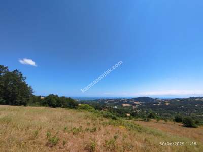 Gerze Merkeze 10 Dk Mesafesinde 10 Dönüm Yatırımlık Fır 9