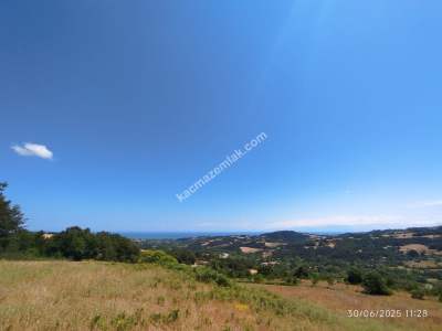 Gerze Merkeze 10 Dk Mesafesinde 10 Dönüm Yatırımlık Fır 13