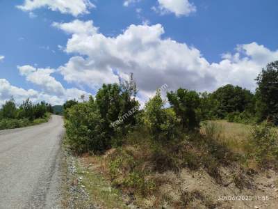 Gerze Merkeze 10 Dk Mesafesinde 10 Dönüm Yatırımlık Fır 20