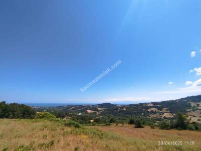 Gerze Merkeze 10 Dk Mesafesinde 10 Dönüm Yatırımlık Fır 14