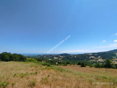 Gerze Merkeze 10 Dk Mesafesinde 10 Dönüm Yatırımlık Fır 23