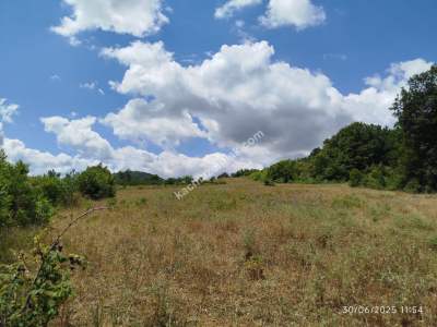 Gerze Merkeze 10 Dk Mesafesinde 10 Dönüm Yatırımlık Fır 22