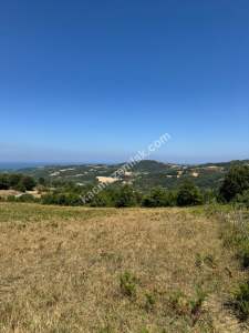 Gerze Merkeze 10 Dk Mesafesinde 10 Dönüm Yatırımlık Fır 6