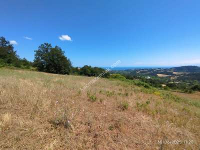 Gerze Merkeze 10 Dk Mesafesinde 10 Dönüm Yatırımlık Fır 12