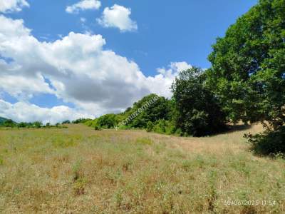 Gerze Merkeze 10 Dk Mesafesinde 10 Dönüm Yatırımlık Fır 21