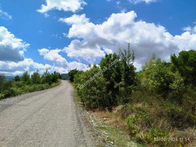 Gerze Merkeze 10 Dk Mesafesinde 10 Dönüm Yatırımlık Fır 19