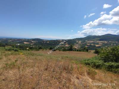 Gerze Merkeze 10 Dk Mesafesinde 10 Dönüm Yatırımlık Fır 8