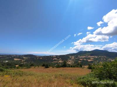 Gerze Merkeze 10 Dk Mesafesinde 10 Dönüm Yatırımlık Fır 11