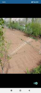 Sivas Çayboyunda Satılık Hobi Bahçesi 11