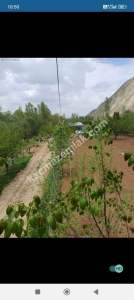 Sivas Çayboyunda Satılık Hobi Bahçesi 28