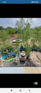 Sivas Çayboyunda Satılık Hobi Bahçesi 20