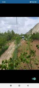 Sivas Çayboyunda Satılık Hobi Bahçesi 13