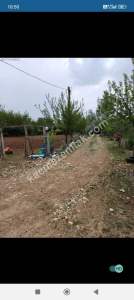 Sivas Çayboyunda Satılık Hobi Bahçesi 22