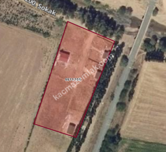 Sivas Satılık Tarla Akevlerde Esenyurt Mah. 600M Tapulu 12