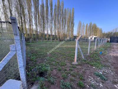 Sivas Satılık Tarla Akevlerde Esenyurt Mah. 600M Tapulu 2