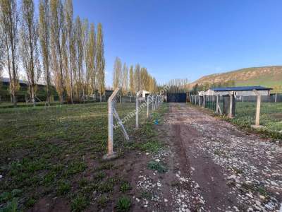 Sivas Satılık Tarla Akevlerde Esenyurt Mah. 600M Tapulu 1