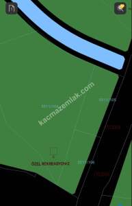 Sivas Satılık Tarla Akevlerde Esenyurt Mah. 600M Tapulu 7