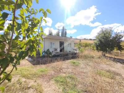 Sivas Esenyurt Sınırında Tapulu Satılık Arsa 500 M² 1