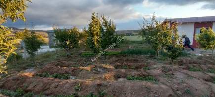 Sivas Serpincik Satılık Etrafı Çevrili Bahçe 537M2 23